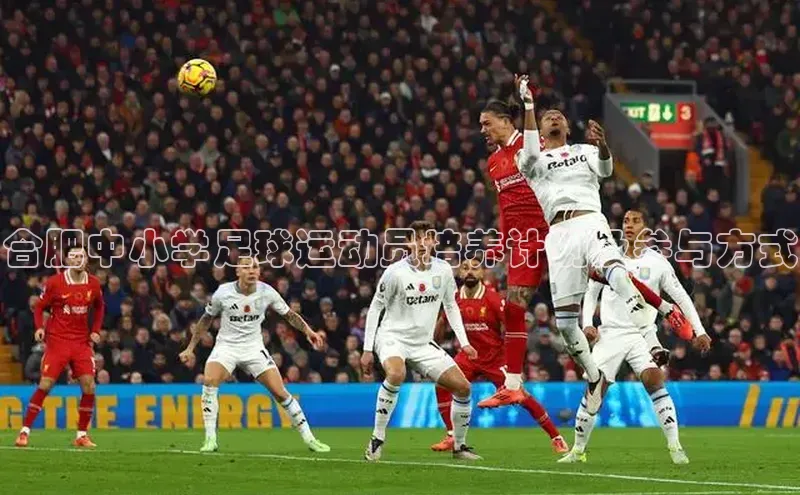 bb体育官网app下载巴美列捷福合肥中小学足球运动员培养计划及参与方式