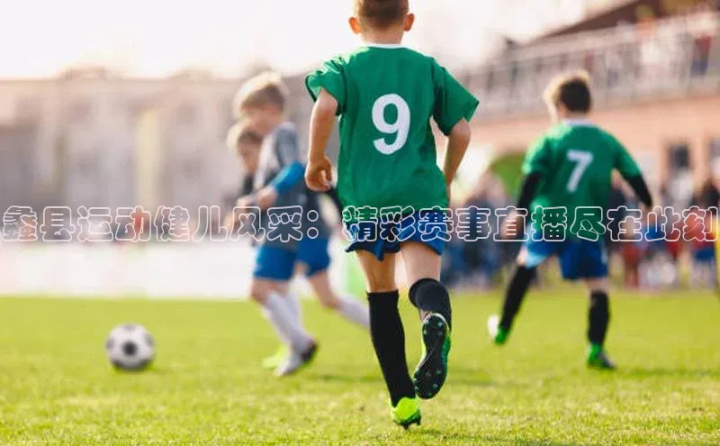 蠡县运动健儿风采：精彩赛事直播尽在此刻