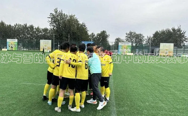 冰与雪的盛宴：冰雪运动中的顶尖赛事