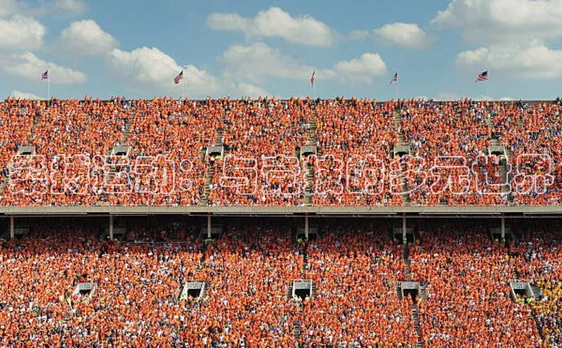 桑搏运动：与竞技的多元世界