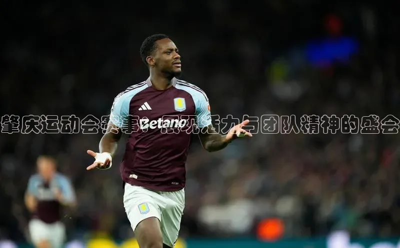 肇庆运动会赛事：展现活力与团队精神的盛会