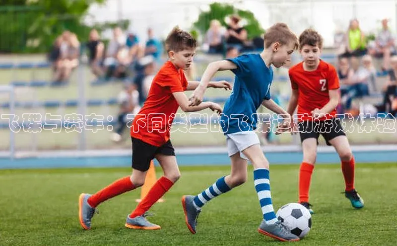 飞碟与赛车：不同类型的飞碟运动游戏体验