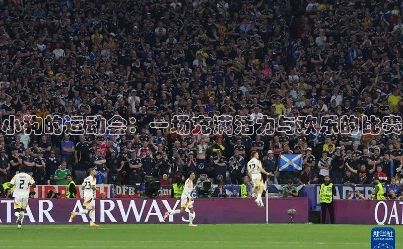 小狗的运动会：一场充满活力与欢乐的比赛