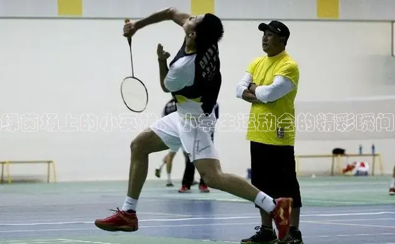 绿茵场上的小英雄：小学生运动会的精彩瞬间