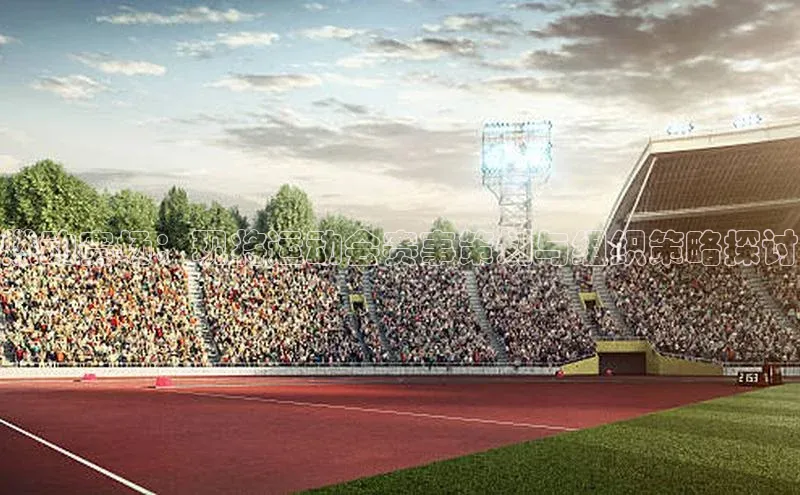 燃动赛场：现将运动会赛事策划与组织策略探讨