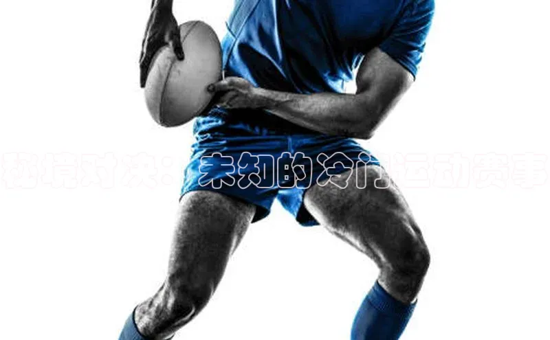 贝博平台网站谁知道