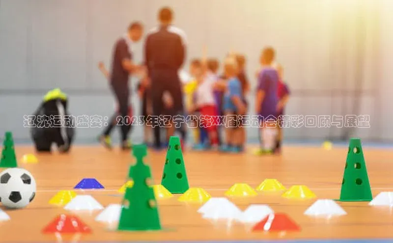 辽沈运动盛宴：2023年辽宁省第XX届运动会精彩回顾与展望