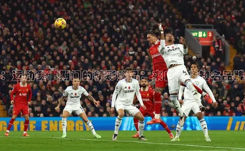 BB贝博平台登录app下载