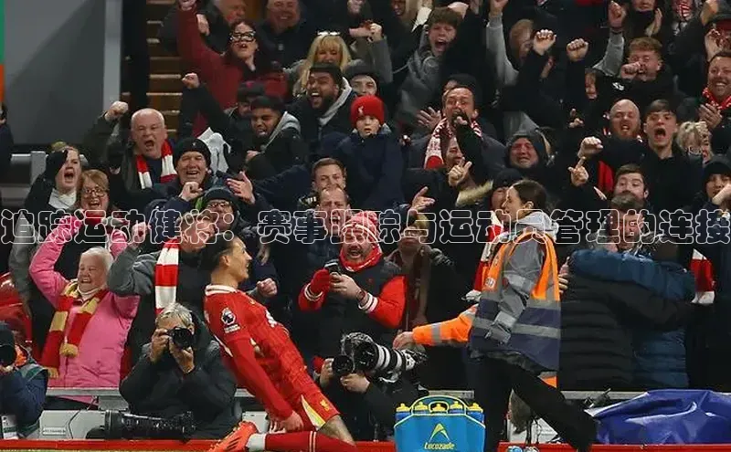 贝博bb平台体育正规吗