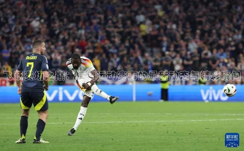 贝博betball官网登录