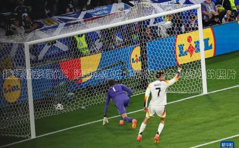 BB贝博艾弗森官方网站