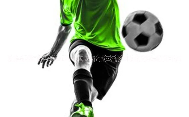 冰雪盛宴：2024年冬季青年运动会的精彩赛事日程